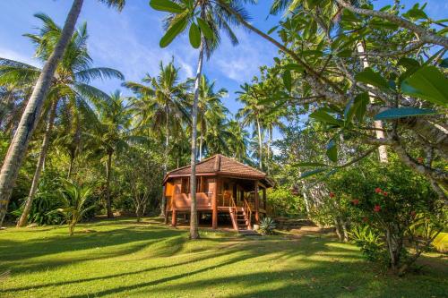 a house in the middle of a field with palm trees at Palm Paradise Cabanas & Villas Beach Resort in Tangalle