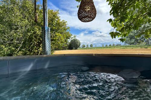 a pool of water in a backyard with a bird bath at Bellefleur in Veurne