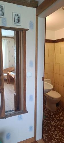 a bathroom with a toilet and a mirror at Kõrgemäe Turismitalu in Tusti