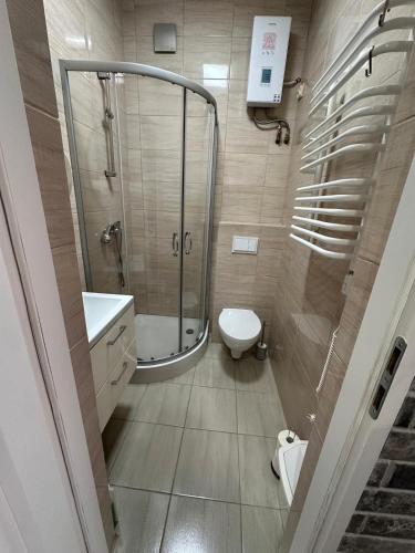 a bathroom with a shower and a toilet at Kamińsko 640 - Puszcza Zielonka in Kamińsko