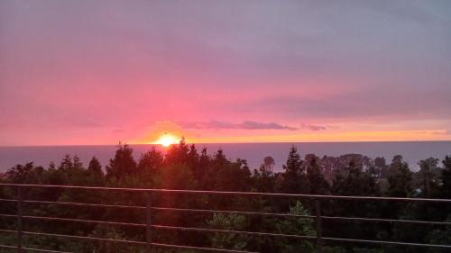 a sunset over the ocean with trees in the foreground at Nice Hotel in Buknari