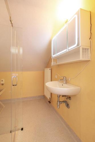a bathroom with a sink and a glass shower at KUL App 5 by Alpenidyll Apartments in Öblarn