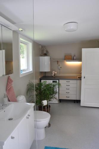 a bathroom with a toilet and a sink at Grönhagen in Loftahammar