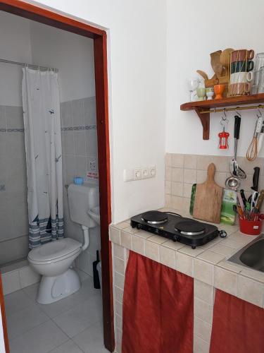 a bathroom with a toilet and a sink and a counter at Seaside Villa Katrine in Banjol