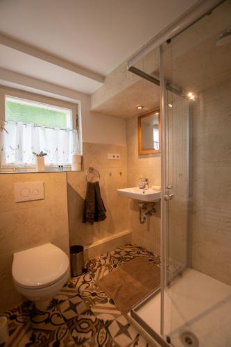 a bathroom with a shower and a toilet and a sink at Ferienwohnung Auerhahn in Lauterbach