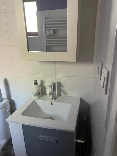 a bathroom with a white sink and a mirror at Charmant studio dans maison privée in Apprieu