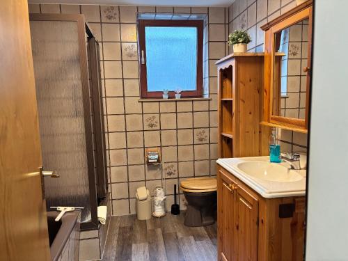 a bathroom with a sink and a toilet and a window at Haus Aktiv Garten2 in Winterberg