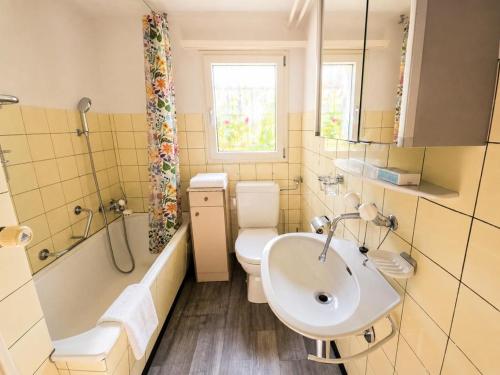 a bathroom with a sink and a toilet and a shower at Revier Lärchenglück in Braunwald