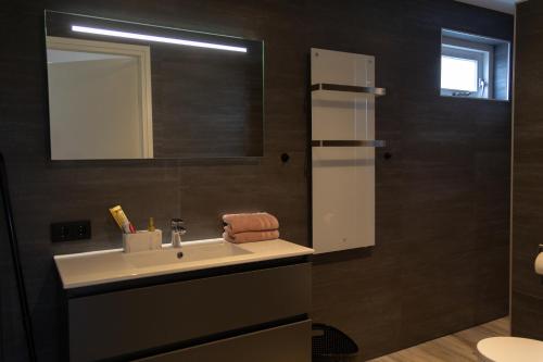 a bathroom with a sink and a mirror at B&B de Gouden Ploeg met Jacuzzi in Bergentheim