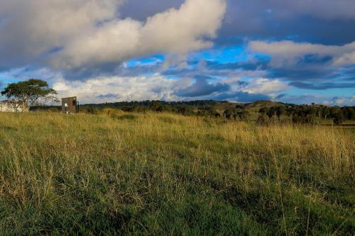 a field of tall grass with a building in the background at Hills and Herds by Tiny Away in Shannon Brook
