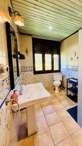 a bathroom with a sink and a toilet at Leyendas Del Pirineo Turismo Rural in Fiscal