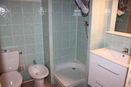 a bathroom with a toilet and a shower and a sink at Le génépi in Roubion