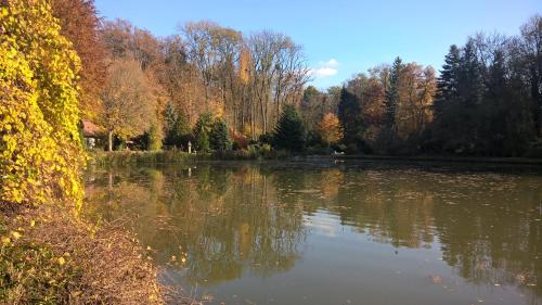 a view of a lake with trees in the background at Pongrácz Apartman in Zirc