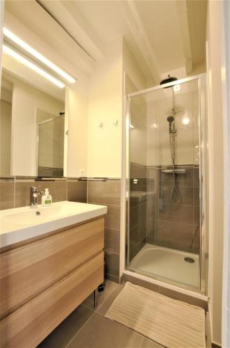a bathroom with a shower and a sink and a showerspective at Aube au gite in Trannes