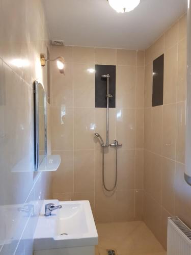 a bathroom with a sink and a shower at The Loka in Riga