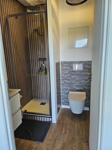 a bathroom with a shower and a toilet at Chambre avec vue in Villefranque