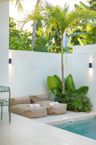 a living room with a couch and a palm tree at Matahari House in Nusa Lembongan