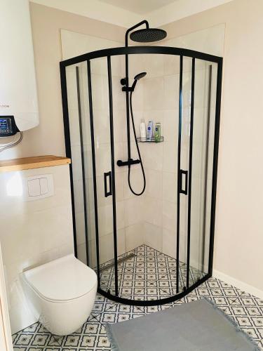 a bathroom with a shower with a toilet at Atpūtas vieta Kannas in Tropmači