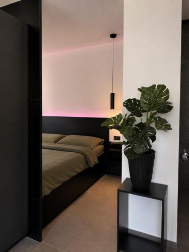 a bedroom with a bed and a potted plant at Stilvolles Premium Apartment in Haßfurt