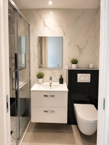 a bathroom with a sink and a toilet and a shower at Résidence Appartement Adonis in Nice