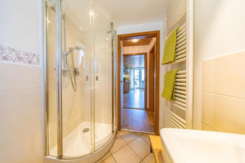 a bathroom with a shower and a sink at Steffi's Landhof in Bad Wörishofen