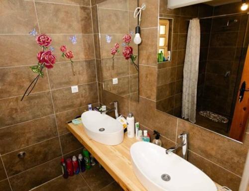 a bathroom with a sink and a mirror at Tara Rafting Resort in Foča