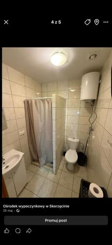 a bathroom with a shower and a toilet and a sink at Ośmiorniczka Skorzęcin in Skorzęcin