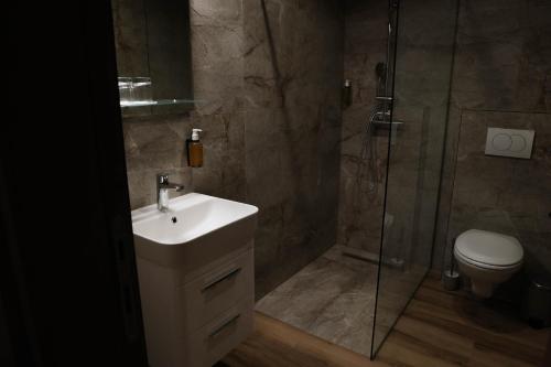 a bathroom with a toilet and a sink and a shower at Galerija Odzaci in Odžaci