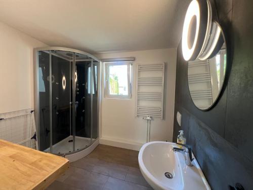 a bathroom with a shower and a sink and a mirror at Schönste Aussicht in Königstein an der Elbe