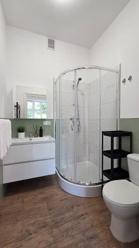 a bathroom with a shower and a toilet and a sink at ENKLAWA Apartamenty in Przemyśl