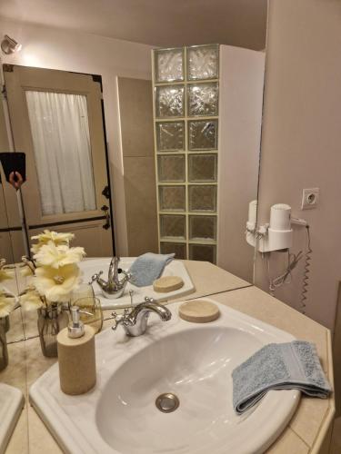 a bathroom with a sink and a large mirror at Le Clôs Ste Anne in Eu