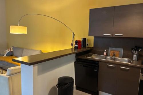 Roof terrace apartment in Avignon