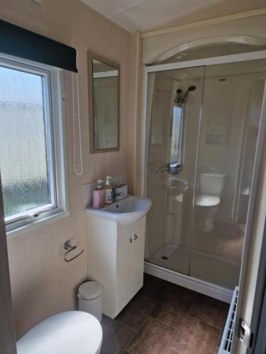 a bathroom with a shower and a sink and a toilet at Riley's Caravan sand le mere tunstall view in Tunstall