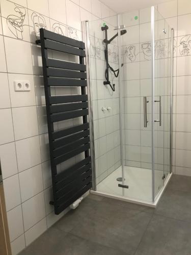 a shower with a glass door in a bathroom at Wohnung Regina in Wildenfels
