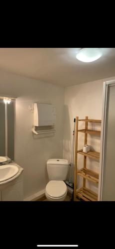 a bathroom with a white toilet and a sink at Le Climatisé Old School in Paroy-sur-Tholon