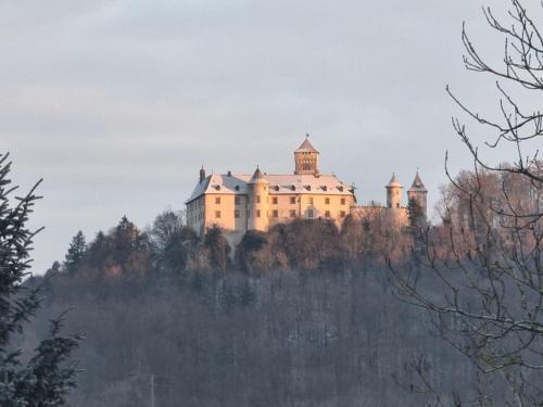 a castle on the top of a hill at Ferienwohnung Ameis in Heiligenstadt