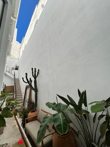 New Luxury house in the heart of La Isleta