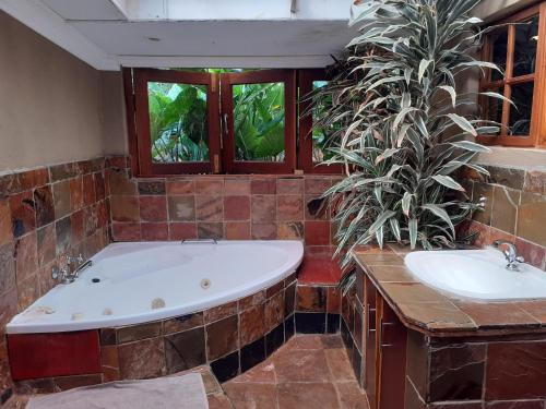 a bathroom with a large tub and two sinks at Emahlathini Guest Farm in Piet Retief