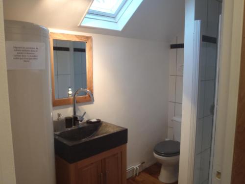 a bathroom with a sink and a toilet and a skylight at Les Logis de la Vaucouleurs in Rosay