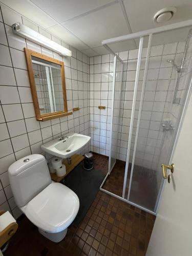 a bathroom with a toilet and a sink and a shower at Gålåseter Jotunheimen 5 in Gålå