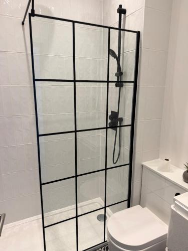 a glass shower door in a bathroom with a toilet at 1 bedroom flat in Saint Helier Jersey