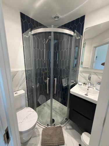 a bathroom with a shower and a toilet and a sink at Lazy Waves in Newquay