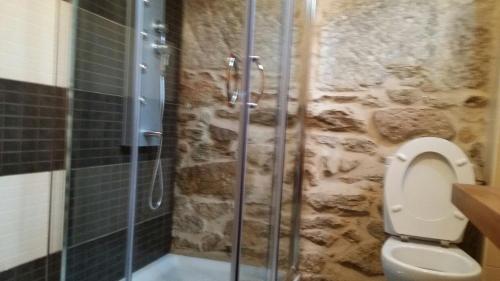 Un baño con inodoro y ducha de cristal. en Casa Da Chousa, en Combarro