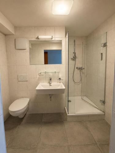 a bathroom with a toilet and a sink and a shower at Demlhof, Gästehaus in Finkenberg