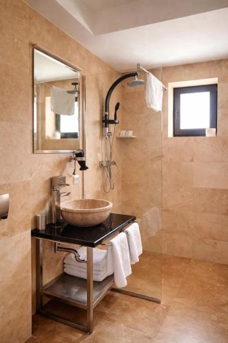 a bathroom with a sink and a shower at Transylvania Villa & Spa in Muntele Băişorii