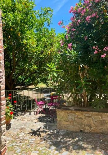 Amelia's Lemon Garden House