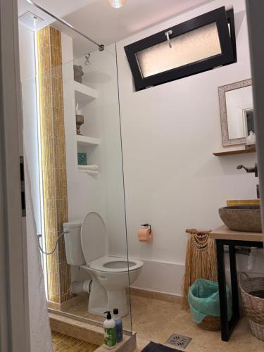 a bathroom with a toilet and a shower at Casa Saga proprietate administrata de o gazda particulara in Mangalia