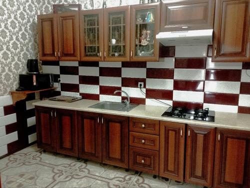 a kitchen with a sink and a checkerboard wall at Caдиба Ксенія in Sheshory