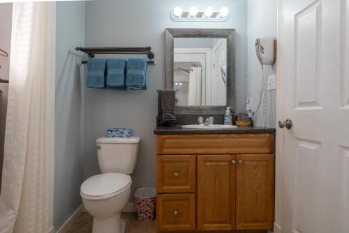 ein Badezimmer mit Toilette, Waschbecken und Spiegel in der Unterkunft Wood Duck Cottage in Cavendish