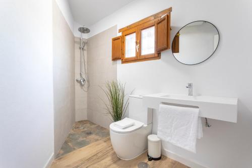 a bathroom with a toilet and a sink and a mirror at Campo and relax Málaga country house in Málaga